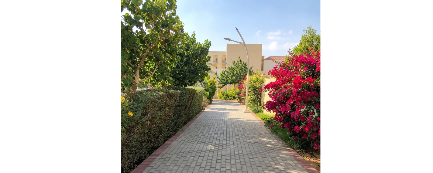 King Salman Social Center